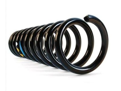 Mercedes-Benz S600 Coil Springs - 140-321-24-04-28