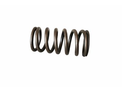 2021 Mercedes-Benz Sprinter 2500 Valve Spring - 640-053-01-20