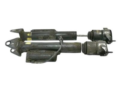 Mercedes-Benz R350 Shock Absorber - 251-320-21-31