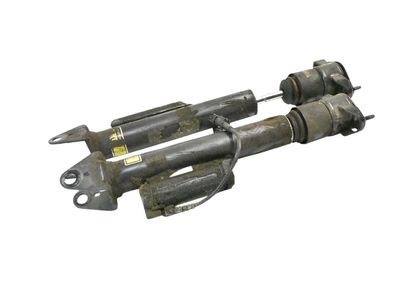 Mercedes-Benz R350 Shock Absorber - 251-320-21-31