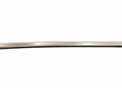 2024 Mercedes-Benz GLS450 Door Moldings - 167-720-14-02