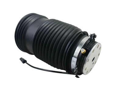 2022 Mercedes-Benz E450 Air Suspension Spring - 213-320-01-25