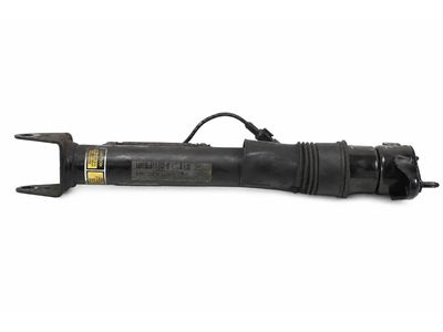 Mercedes-Benz R350 Shock Absorber - 251-320-34-31