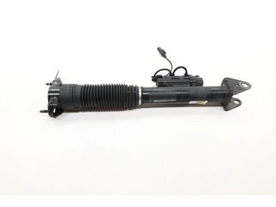 2019 Mercedes-Benz GLS450 Shock Absorber - 166-320-05-00