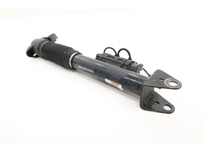 2019 Mercedes-Benz GLS450 Shock Absorber - 166-320-05-00