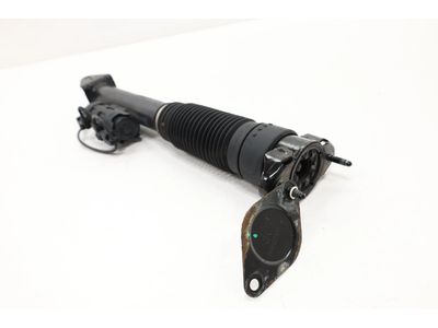 2019 Mercedes-Benz GLS450 Shock Absorber - 166-320-05-00