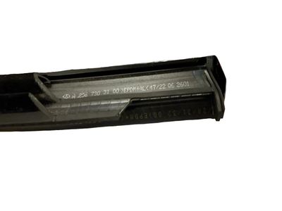 Mercedes-Benz C43 AMG Door Moldings - 206-730-31-00