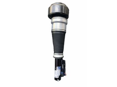 2009 Mercedes-Benz S63 AMG Shock Absorber - 221-320-93-13-80