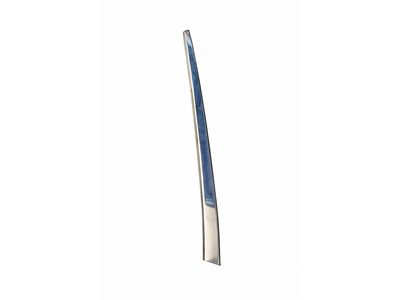 Mercedes-Benz 300TD Door Moldings - 123-738-05-31