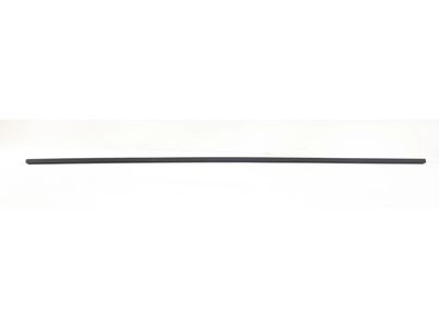 2004 Mercedes-Benz C32 AMG Weather Strip - 203-698-01-98