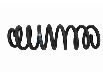 2019 Mercedes-Benz CLS450 Coil Springs - 213-321-06-00