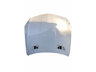 2015 Mercedes-Benz SL65 AMG Hood - 231-880-00-57
