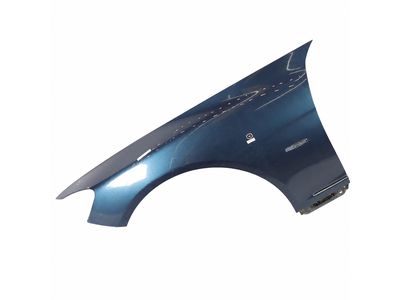 Mercedes-Benz CL65 AMG Fender - 216-880-01-06