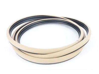 Mercedes-Benz R320 Weather Strip - 251-690-01-76-8P53