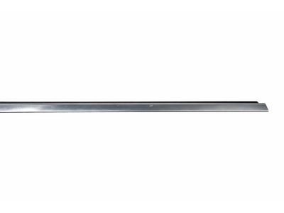 2013 Mercedes-Benz E350 Door Moldings - 212-725-04-65