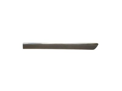 2009 Mercedes-Benz GL450 Door Moldings - 164-690-11-62-9999