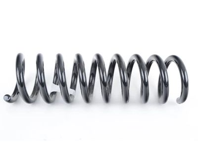 1999 Mercedes-Benz E320 Coil Springs - 210-321-31-04