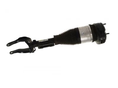 2023 Mercedes-Benz GLS450 Shock Absorber - 167-320-05-03