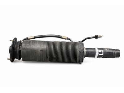 2004 Mercedes-Benz S430 Shock Absorber - 220-320-83-13