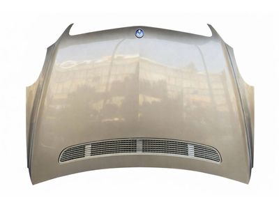 2007 Mercedes-Benz R63 AMG Hood - 251-880-01-57