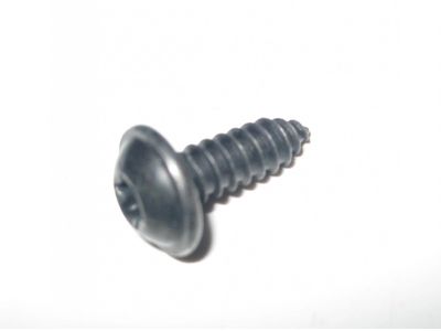 Mercedes-Benz S600 Door Screws - 000000-000866