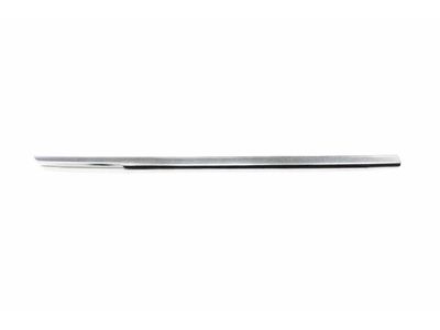 2020 Mercedes-Benz C300 Door Moldings - 205-720-50-33