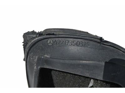 Mercedes-Benz S600 Window Channel - 221-735-03-25