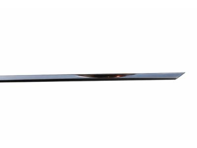 2013 Mercedes-Benz SL550 Door Moldings - 231-720-01-24