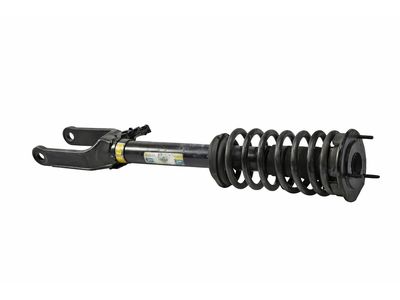 Mercedes-Benz R350 Shock Absorber - 251-320-03-30