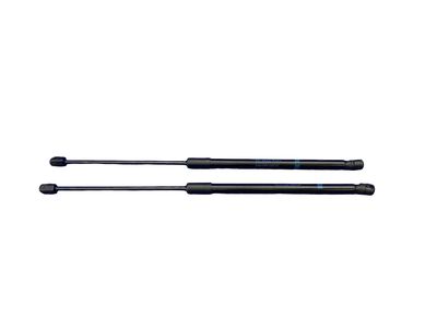 2018 Mercedes-Benz E63 AMG S Lift Support - 213-980-01-00