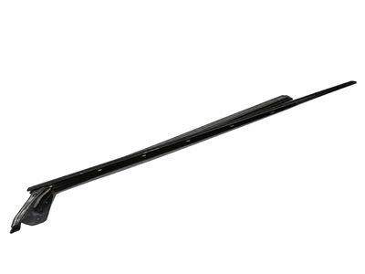 2009 Mercedes-Benz CL600 Weather Strip - 216-720-03-24
