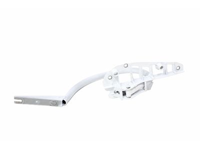 2019 Mercedes-Benz E450 Door Hinge - 213-750-04-28