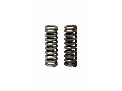 Mercedes-Benz CLS500 Coil Springs - 211-324-07-04