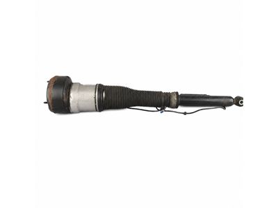 2009 Mercedes-Benz S63 AMG Shock Absorber - 221-320-55-13