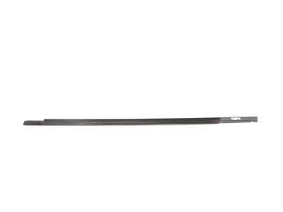 2020 Mercedes-Benz CLS53 AMG Door Moldings - 257-725-06-00-64