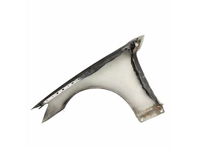Mercedes-Benz S600 Fender - 221-880-02-18