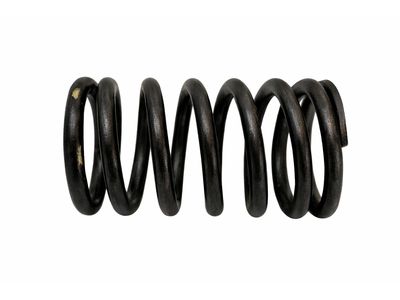 Mercedes-Benz S560 Valve Spring - 177-053-05-00