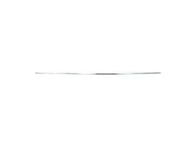 Mercedes-Benz 218-690-24-62 Side Molding Mercedes-Benz 218-690-24-62 Side Molding