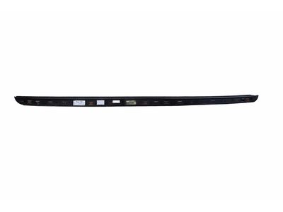 2008 Mercedes-Benz S63 AMG Door Moldings - 221-730-04-22