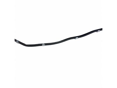 2001 Mercedes-Benz S55 AMG Weather Strip - 220-730-01-24