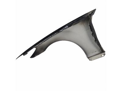 Mercedes-Benz CL65 AMG Fender - 216-880-02-18