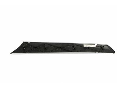 2007 Mercedes-Benz R320 Door Moldings - 251-720-02-22