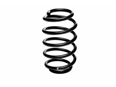 1999 Mercedes-Benz E320 Coil Springs - 210-321-29-04