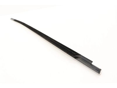 2022 Mercedes-Benz GLA45 AMG Door Moldings - 247-725-39-01