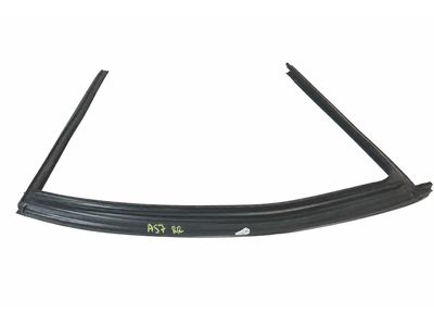 Mercedes-Benz S600 Window Channel - 221-735-04-25