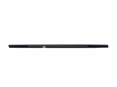 2022 Mercedes-Benz CLA250 Door Moldings - 118-730-19-00