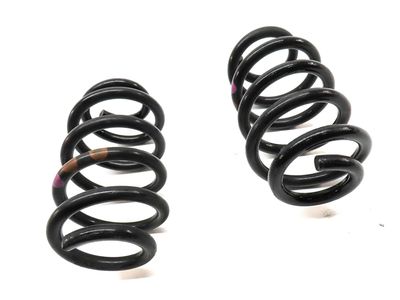 Mercedes-Benz B250e Coil Springs - 242-324-01-04