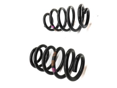 Mercedes-Benz B250e Coil Springs - 242-324-01-04