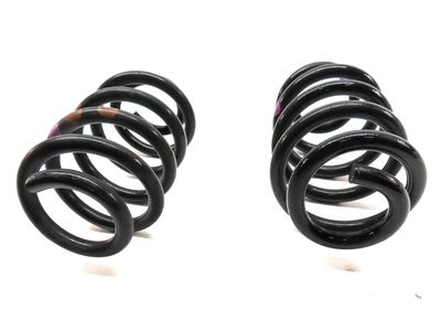 Mercedes-Benz B250e Coil Springs - 242-324-01-04
