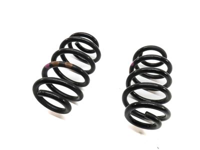 Mercedes-Benz B250e Coil Springs - 242-324-01-04
